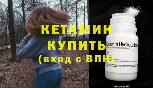 хмурый Аркадак
