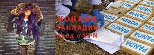 хмурый Аркадак