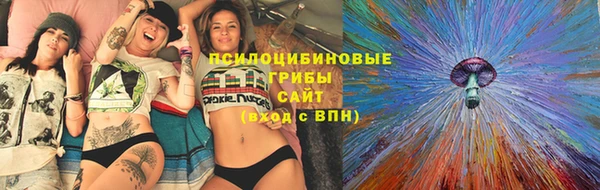 тгк Армянск