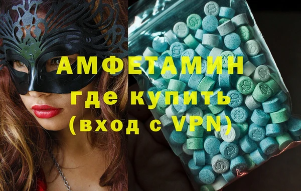 хмурый Аркадак